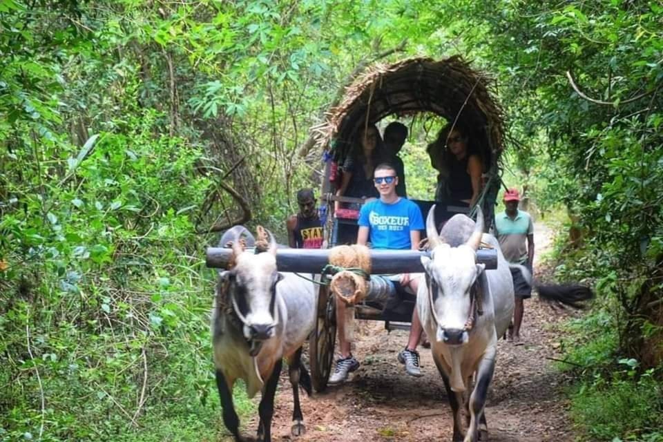 Sigiriya:Traditional Village Experience With Authentic Lunch - Frequently Asked Questions