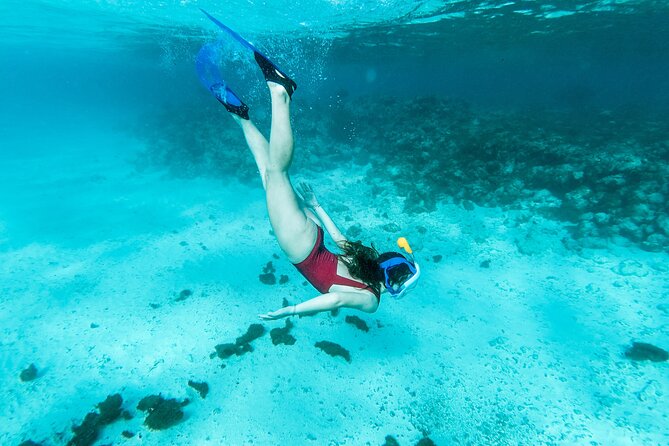 Snorkelling Tours to Daymaniyat Island - Safety and Accessibility Considerations