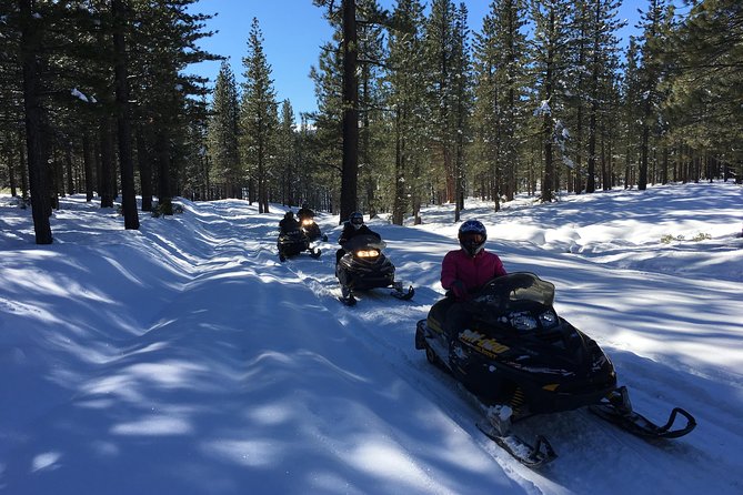 Snowmobiling Packages in the Sierras From Reno, Nevada - Things To Known