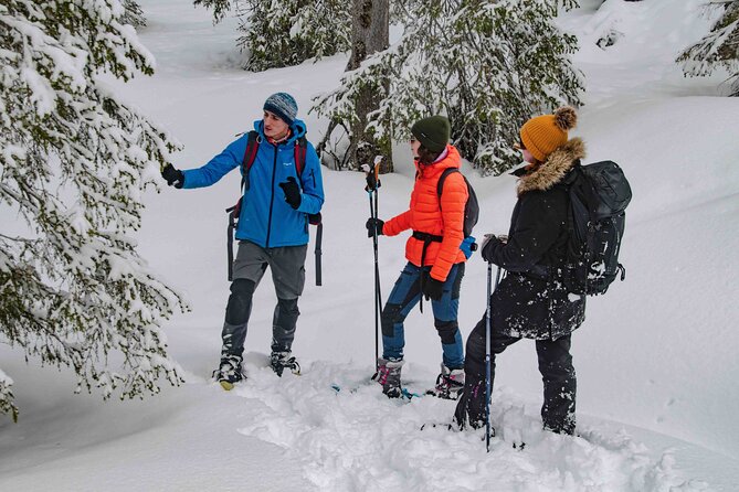 Snowshoeing Adventure With Ice-Fishing, Fire and Survival - Gear and Pickup Details