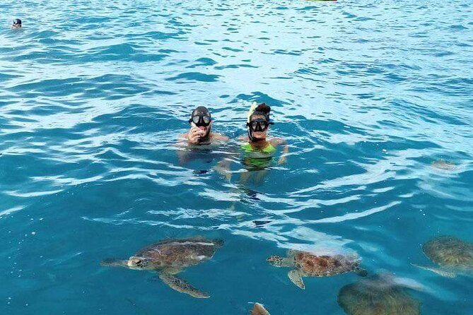 Spectacular Experience With Sea Turtles - Tips for a Memorable Experience