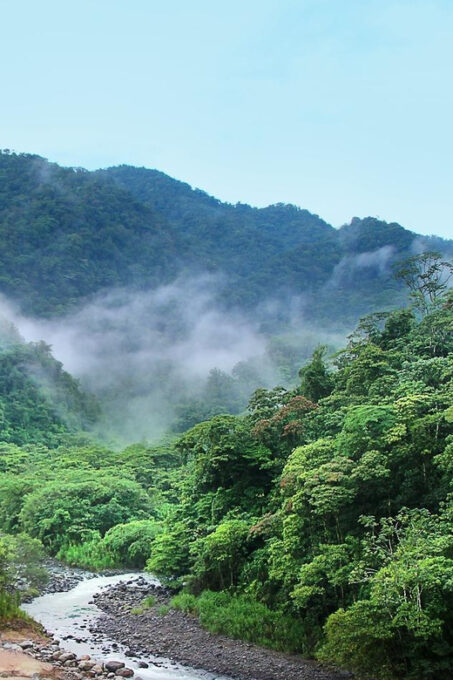 Sri Lanka Trekking, Hiking 5 Days Tour - Activities