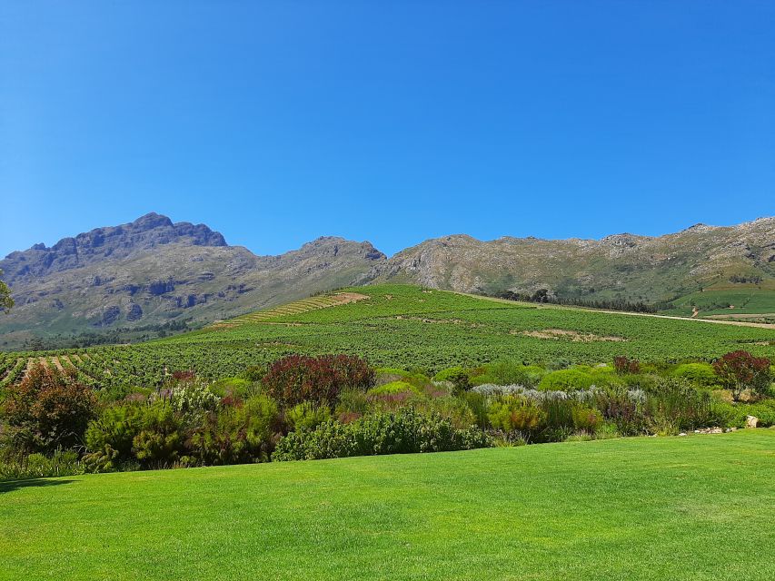 Stellenbosch: Half-Day Guided Nature Hike and Wine Tasting - Frequently Asked Questions