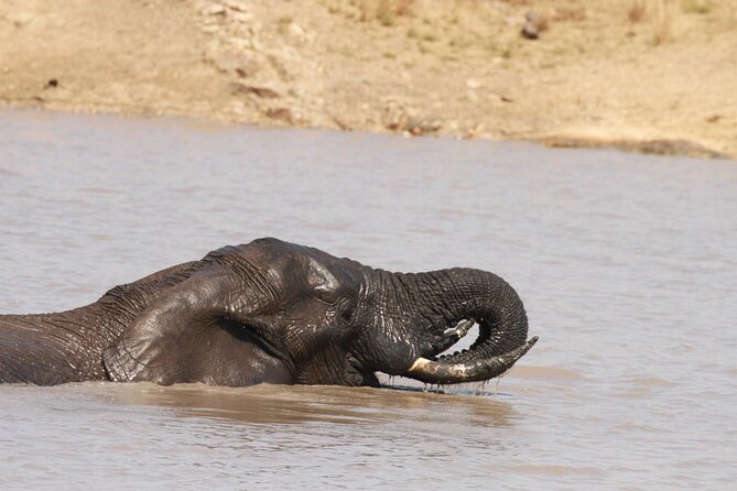 Sunset Game Drive Safari Near Hoedspruit - Authenticity of Reviews