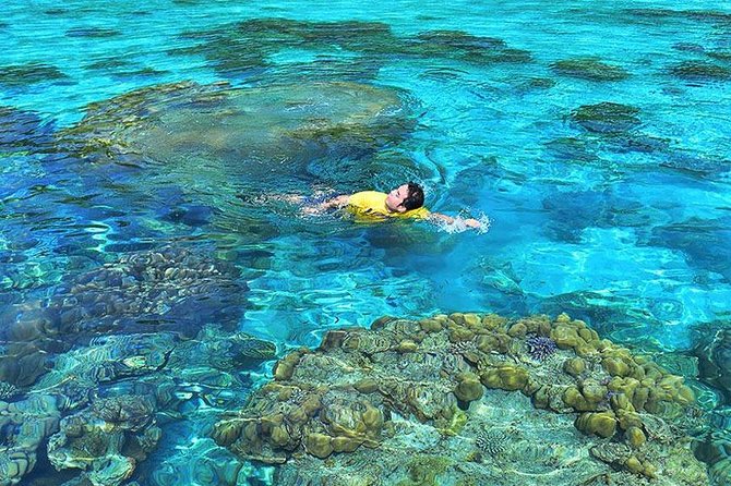 Surin Islands Snorkeling Day Trip By Love Andaman From Khao Lak - Tips for a Successful Trip