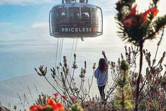 Table Mountain Adventurous Hike & Cable Car Down - Booking Your Adventure