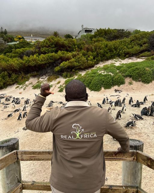 Table Mountain & Cape of Good Hope & Penguins Full Day - Encounter With African Penguins