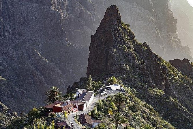 Teide-Icod-Garachico-Masca (Most Popular Bus Tour in Tenerife) - Recommendations