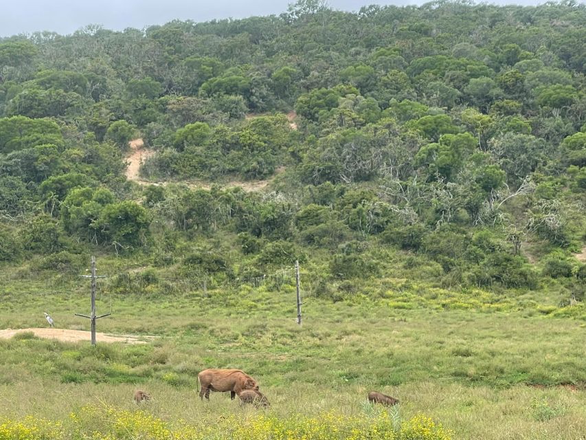 The Best Garden Route Budget Tour - Day 6: Sedgefield to Cape Town