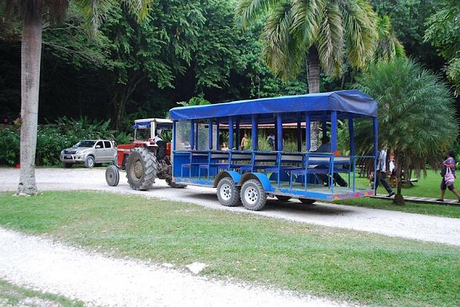 The Ultimate Appleton Estate & YS Falls Private Tour - Frequently Asked Questions