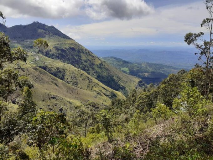 Trail Running From Ella - Safety and Guidelines