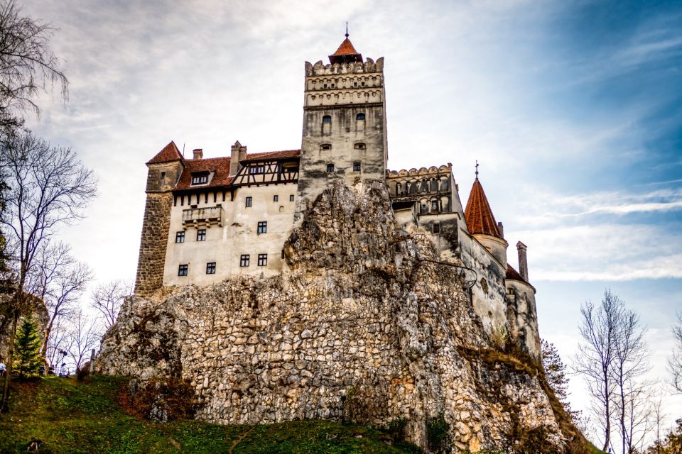 Transylvania Tours: Discover Dracula's Castle & Royal Peles - Customer Reviews and Feedback