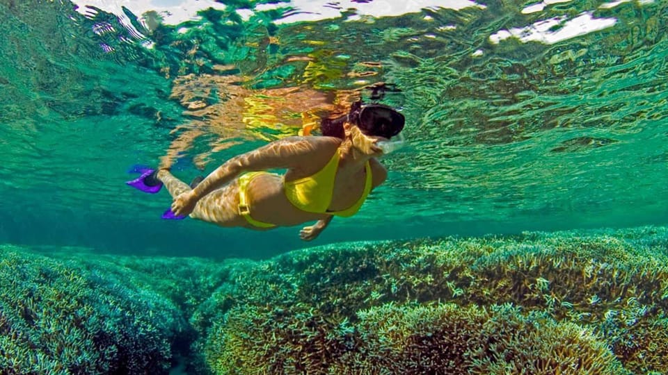 Trincomalee : Snorkeling in Trincomalee - Important Tips