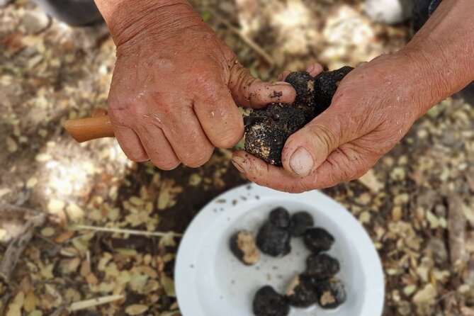 Truffle Hunting, Culinary & Wine Celebration From Heraklion - Savoring the Local Wines