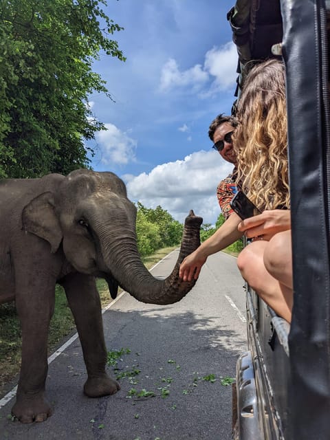 Udawalawa National Park - 4*4 Private Safari Jeep Tour - Booking Information