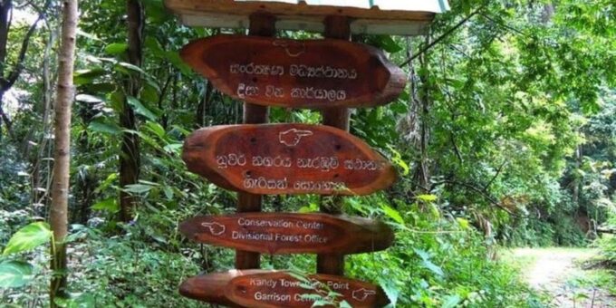 Udawatte Kele:Birdwatching and Nature Trekking Experience - Frequently Asked Questions