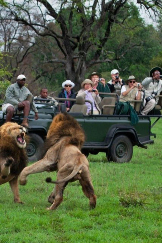 Ukutula: Walk With Lions, Predators & Cheetahs Tour - Frequently Asked Questions