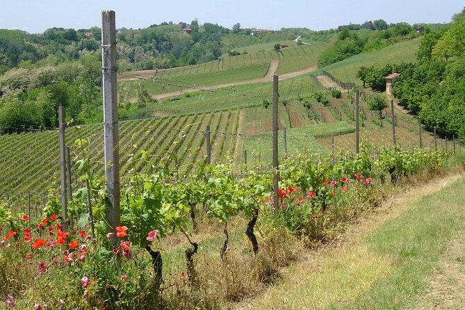 Unique Wine Tasting at the Winery of the Marchesi Incisa Della Rocchetta - Pricing and Cancellation Policy