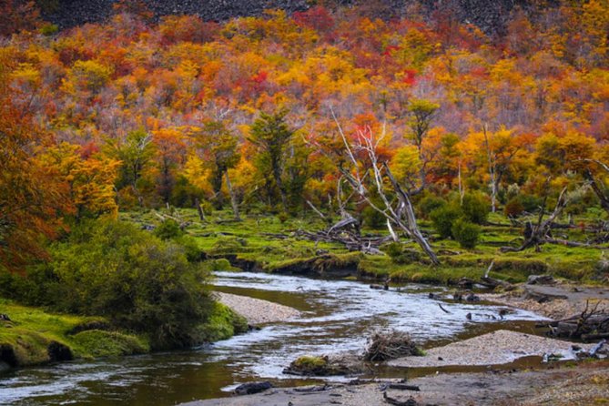 Ushuaia: Visit to the National Park and End of the World Train - Booking Confirmation and Cancellation Policy