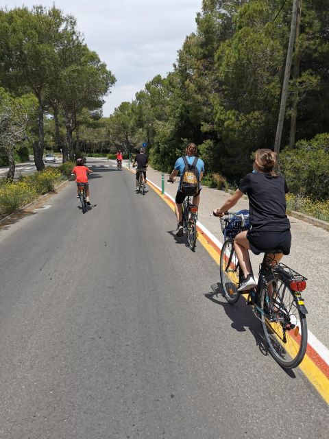 Valencia: Albufera Natural Park Bike and Boat Tour - Customer Feedback