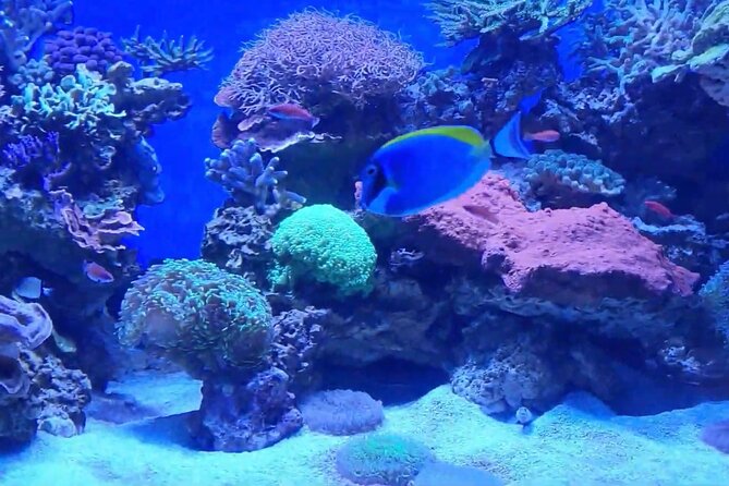 Vancouver AquariumTickets - Additional Information