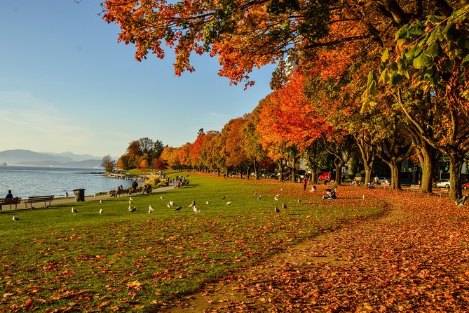Vancouver City & Nature Photography - Enhancing Your Photography Skills