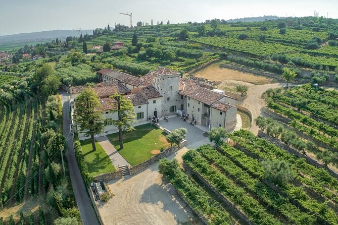 Venetian Villa Wine Tasting Tour Review - Since You Asked