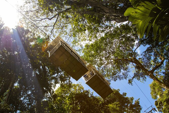 Veragua Rainforest Experience and Tram Ride in Puerto Limon - Research Station and Biodiversity