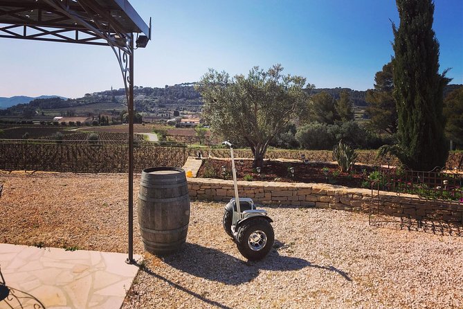 Vineyard Visit in Gyropode, Visit of Cave & Tasting Wines of Bandol - Traveler Feedback and Ratings