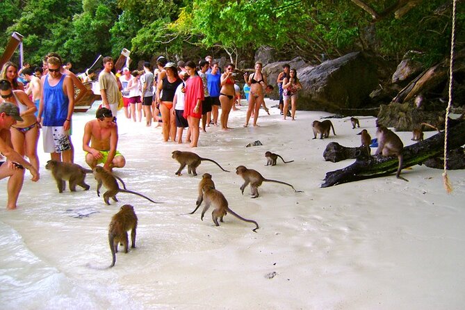 VIP Private Boat to Phi Phi Island: Snorkeling + Land Tour - Booking Your Private Tour