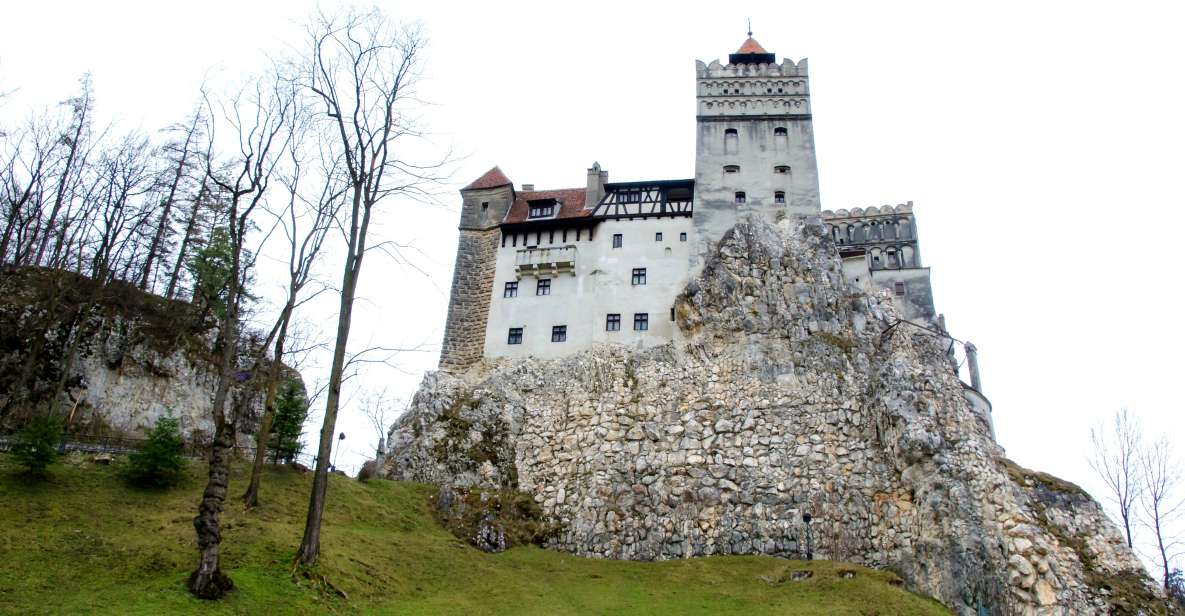 Visit Bear Sanctuary and Bran Castle From Brasov - Tour Overview