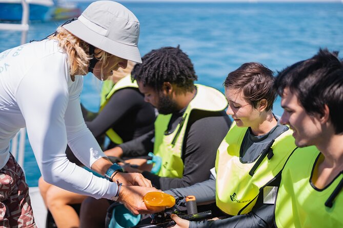 Waikiki Turtle Canyon Snorkeling With Lunch and Hula Show - Local Tips for a Great Experience