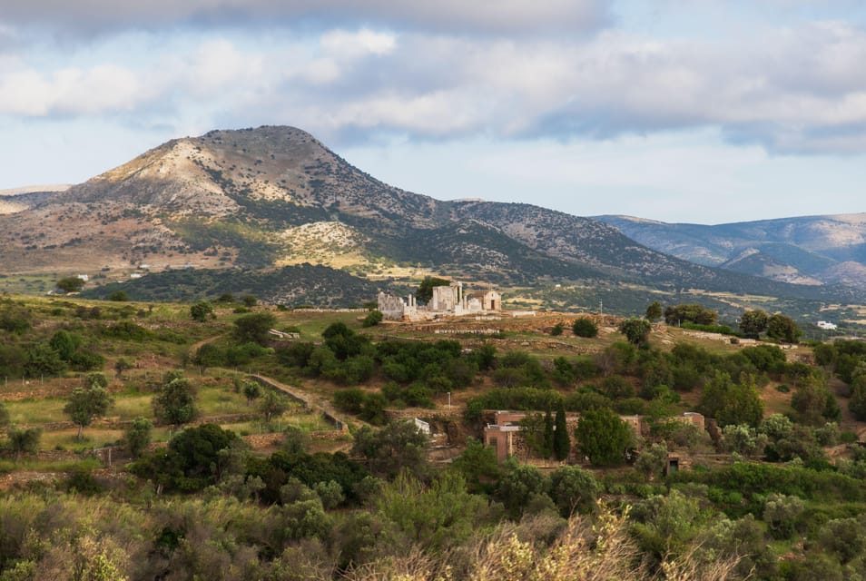 Walk Among the Olive Trees (Small Group Experience) - Mythological Context Enhancing the Experience