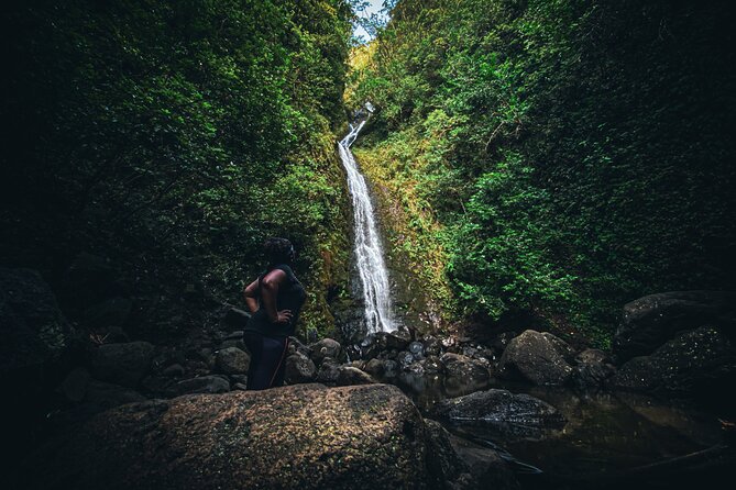 Waterfall Hike in Hawaii Rainforest Trail - Booking Information