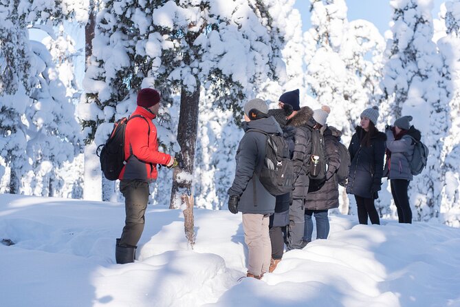 Wilderness Survival Tour - Winter - Price and Guarantee
