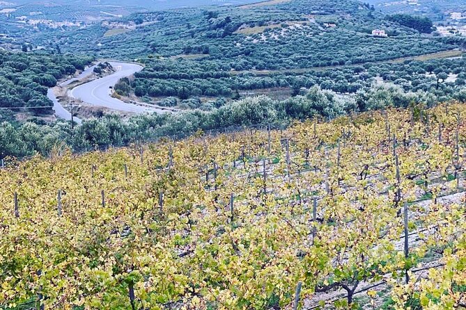 Wine at Stylianou Winery: An Exquisite Tasting Experience - Cretes Unique Terroir