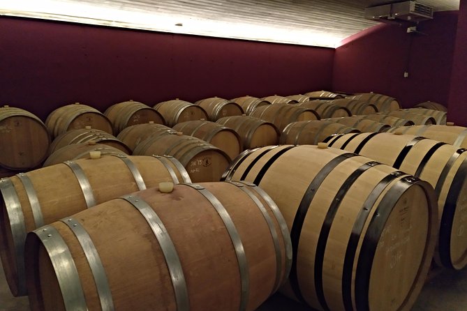 Wines Tasting and Typical Breakfast Small Group Tour From Girona - Travelers Suggestions
