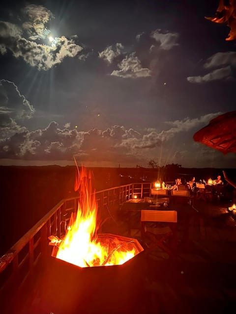 Yala National Park : Luxury Camping Adventure & Safaris - Booking and Payment Details