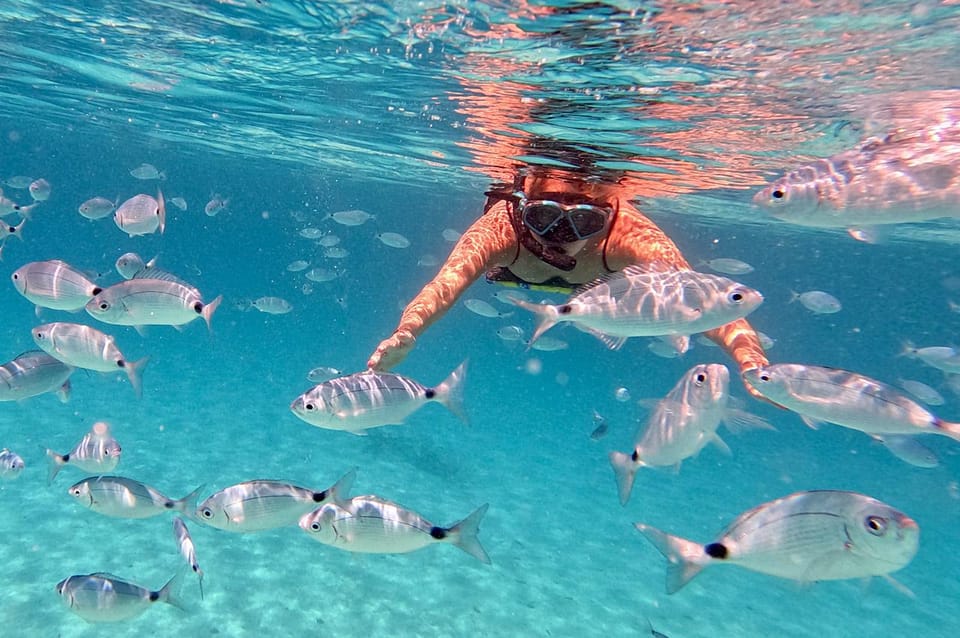 Zadar: Dugi Otok Island Discovery Day Trip With Snorkeling - Meeting Point and Fees