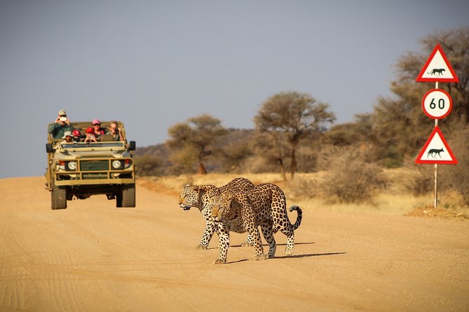 9 Day Etosha, Skeleton Coast and Sossusvlei Camping and Lodge Safari