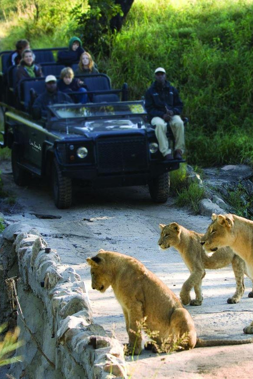 1/2 Day Private Tour Tala Game Reserve & Natal Lion Park - The Sum Up