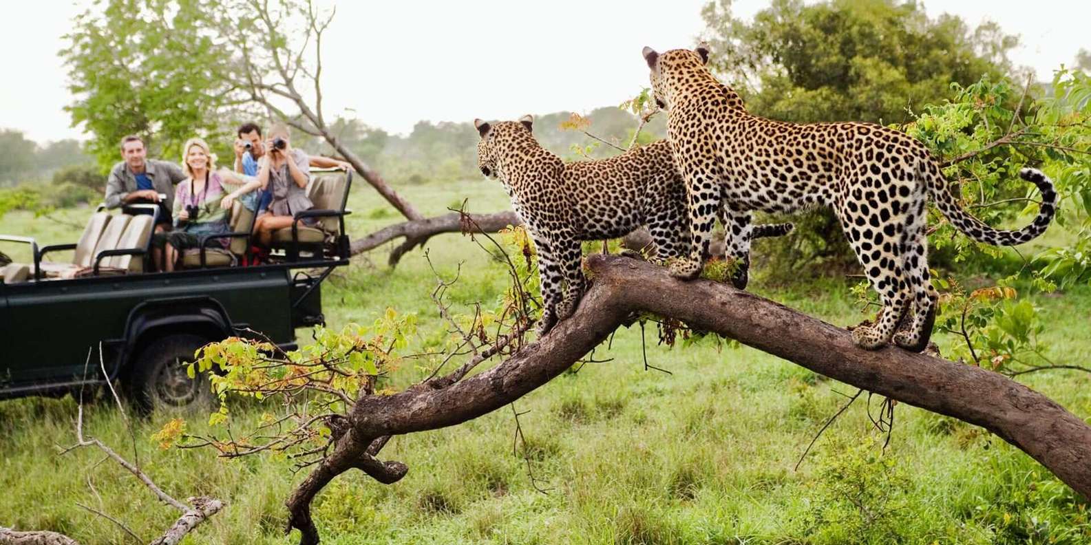 12 Day Private Safari - Johannesburg to Cape Town - Frequently Asked Questions