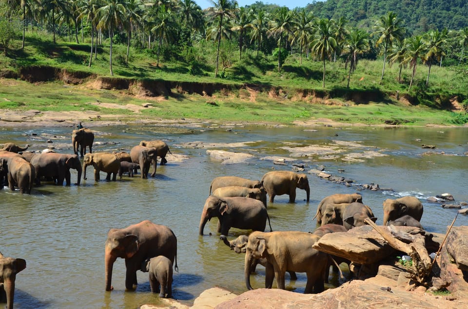 2 Day Tour Pinnawala/Sigiriya From Kandy - Frequently Asked Questions