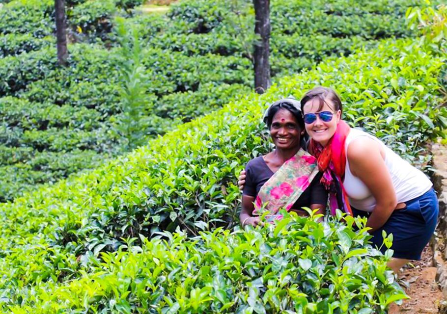 2 Days -Kandy and Nuwara Eliya Tour From Colombo - Frequently Asked Questions