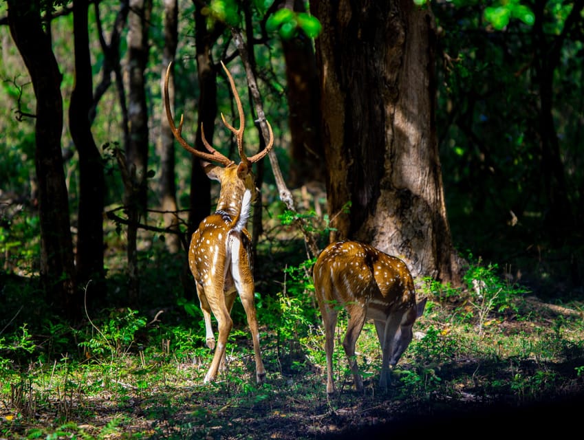 A Udawalawa Safari Tour (All Inclusive - Colombo/Galle) - Frequently Asked Questions