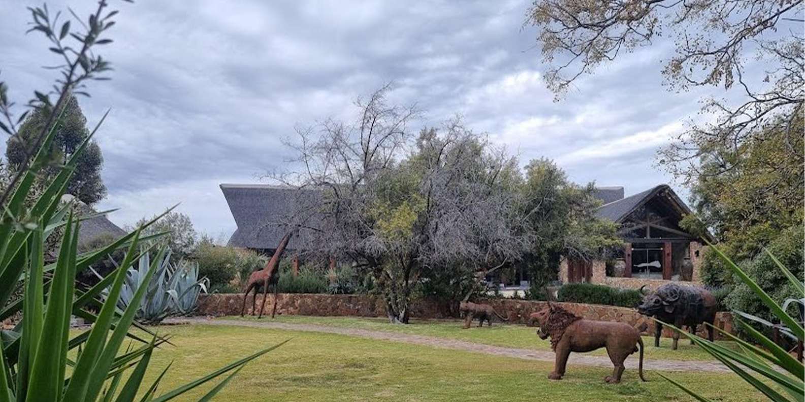 Aquila Reserve Safari With Lunch & Wine Tasting - The Sum Up