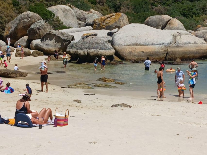 Beach Day at Boulders Beach & Penguin Watching, Half Day - Frequently Asked Questions