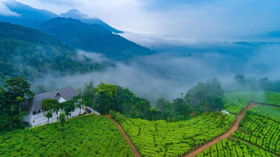 Beauty of Nature, Munnar Hill Station Tour (03 Days) - The Sum Up