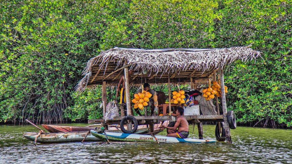 Bentota: Highlights Tour With Beach Day Trip From Colombo - Beach Day