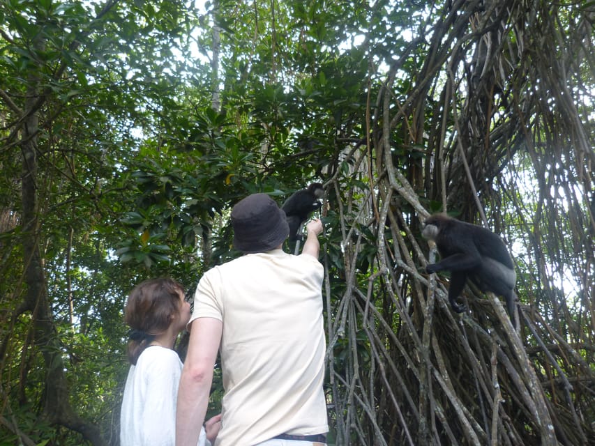 Bentota: Mangrove Lagoon and River Cruise - Frequently Asked Questions